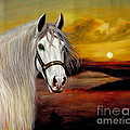 original oil painting animal art-horse in sunset #015